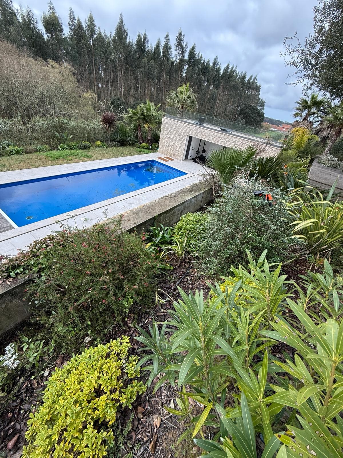 Pool with garden